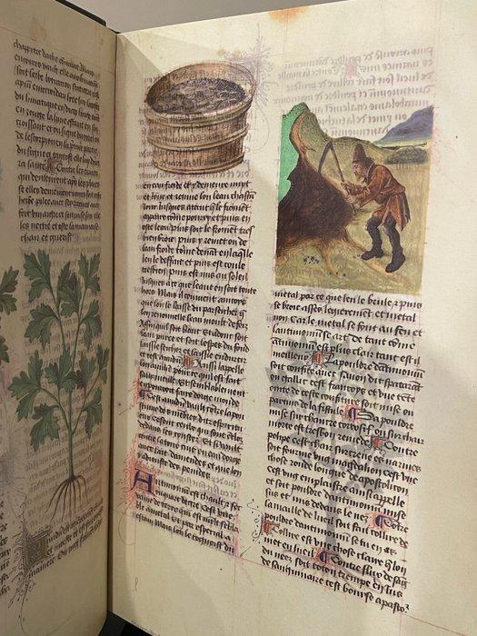 Matthaeus Platearius - Herbolaire Estense - 2008, Antiek en Kunst, Antiek | Boeken en Manuscripten