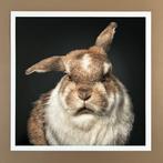 Ralph Hargarten - Hermine