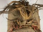 Old African mask from the Dan - Liberia. (Zonder