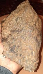 Météorite de Gebel Kamil Météorite de fer - Hauteur : 22 cm, Collections