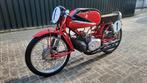 Rumi - 4 Cylinder in Line - Fabbri Special - 250 cc - 1960, Motoren