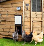 ChickenGuard combi pro solar, Ophalen of Verzenden, Overige typen