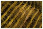 Franco Turcati - Langhe Autunno (407), Antiek en Kunst