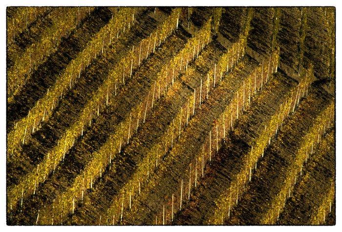 Franco Turcati - Langhe Autunno (407), Antiek en Kunst, Kunst | Designobjecten