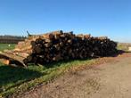 Haardhout kachelhout eiken stammen 46 ton, 6 m³ of meer, Ophalen, Stammen