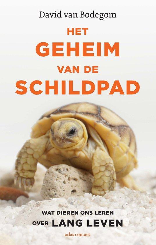 Het geheim van de schildpad - David van Bodegom - 9789045038, Boeken, Gezondheid, Dieet en Voeding, Verzenden