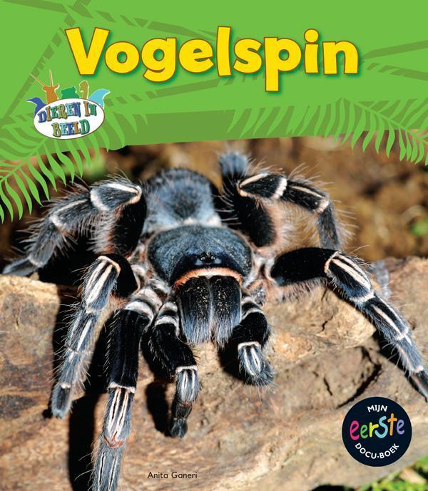 Vogelspin / Dieren in beeld 9789055669288 Anita Ganeri, Boeken, Overige Boeken, Zo goed als nieuw, Verzenden