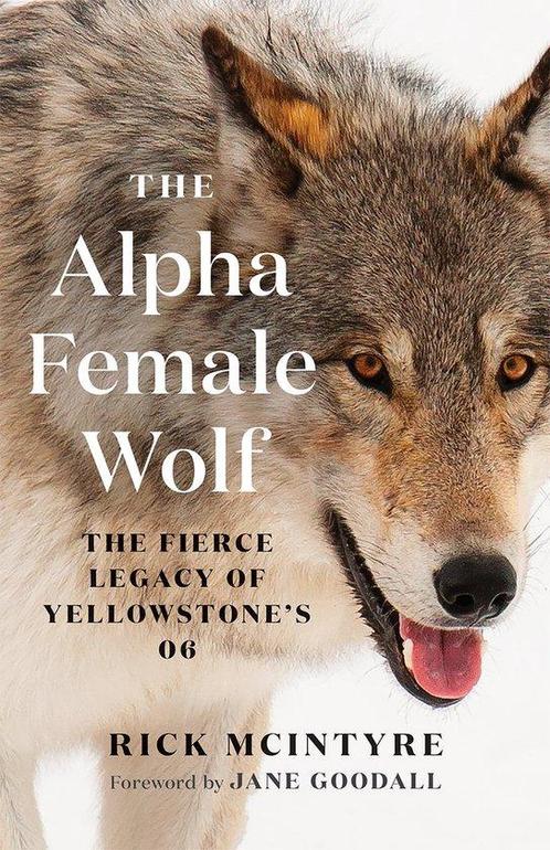 The Alpha Wolves of Yellowstone Series-The Alpha Female Wolf, Boeken, Taal | Engels, Zo goed als nieuw, Verzenden