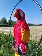 Beeld, life size colorful parrot in hoop - 68 cm - polyresin, Antiek en Kunst
