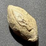 Oud-Grieks, Hellenistisch Lood Zeer zeldzame militaire