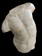 Sculpture, Torso Gaddi - 35 cm - poudre de marbre, Antiek en Kunst