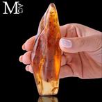 Monster van copal - natuurlijk - jonge amber. Madagascar, Verzamelen