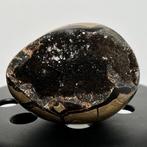 Septaria Wild Black Crystals Fine Large Wild Septaria Black, Verzamelen