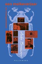 Een meikeverjaar 9789463839938 Anke Brouwers, Boeken, Verzenden, Zo goed als nieuw, Anke Brouwers