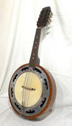 Reale Annibale - rivenditore di Torino - - Banjo mandoline -, Muziek en Instrumenten, Nieuw