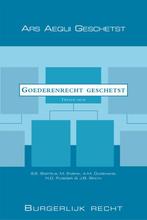 Goederenrecht geschetst / Ars Aequi Geschetst 9789069168371, Boeken, Verzenden, Gelezen, A.M. Oudemans
