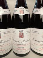 1992 Hubert Lamy La Goujonne - Chassagne-Montrachet - 5, Verzamelen, Wijnen, Nieuw