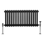 Traditionele 2 Kolom Radiator - 300 x 832mm - Zwart, Verzenden