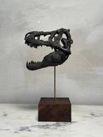 Dinosaure Monture pour réplique taxidermique - Tyrannosaurus