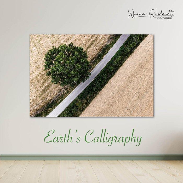 Werner Roelandt - Earths Calligraphy - 011, Antiek en Kunst, Kunst | Designobjecten