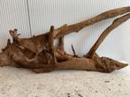 Fine Sinking Wood Selected  FS347 100x20x45 cm, Ophalen of Verzenden, Nieuw, Plant(en), Steen of Hout