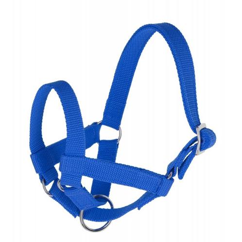 Licol pour lama - pour lamas à tête de taille moyenne et, Dieren en Toebehoren, Stalling en Weidegang