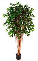 Kunstplant Ficus Retusa 180 cm, Huis en Inrichting, Kamerplanten, Verzenden