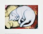 Franz Marc (1880-1916) - Cat on yellow pillow - Artprint