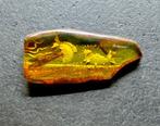 Uitgeholde natuurlijke hele steen Baltisch amber 7 cm 13,1 g