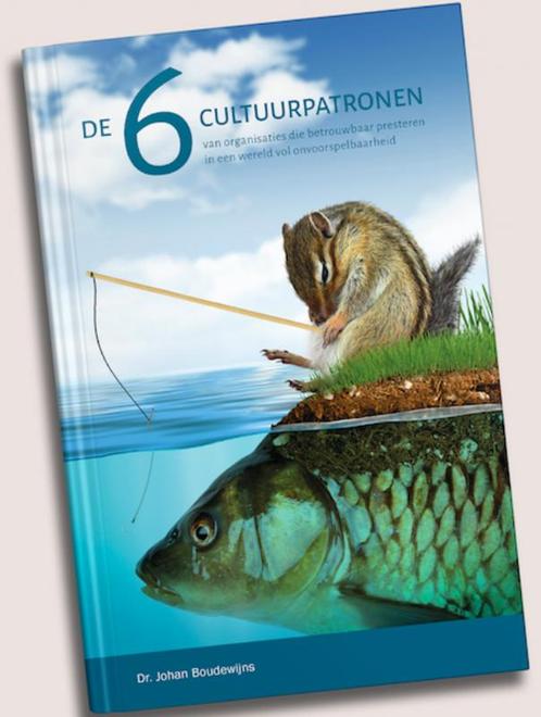De 6 cultuurpatronen 9789081064101 Johan Boudewijns, Boeken, Economie, Management en Marketing, Zo goed als nieuw, Verzenden