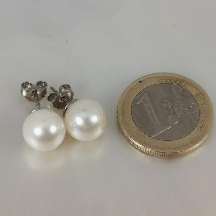 Zonder minimumprijs - Oorbellen Zilver Parel - Southsea RD, Handtassen en Accessoires, Oorbellen