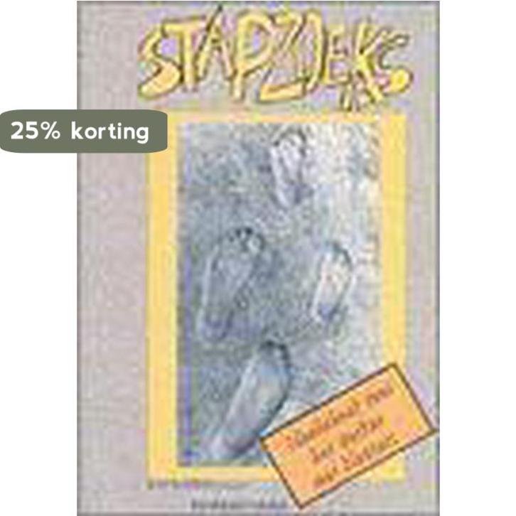 Stapzoeks 9789065652706 R. SOMERS, Boeken, Schoolboeken, Gelezen, Verzenden