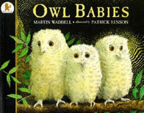 Owl Babies 9780744531671 Patrick Benson, Boeken, Overige Boeken, Gelezen, Verzenden