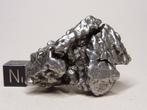 Campo del Cielo meteorite Kristal - 77.4 g