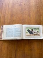 J.B. Samat, Malher & Castellan - Les chiens de chasse - 1938