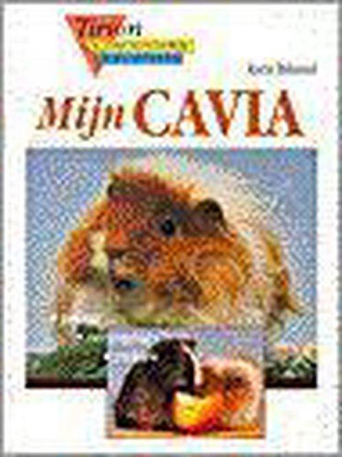 Mijn Cavia 9789052101439, Boeken, Dieren en Huisdieren, Zo goed als nieuw, Verzenden