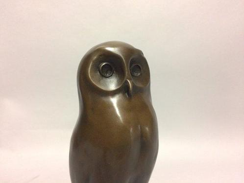 Sculpture, The young owl - 28 cm - Bronze, Antiek en Kunst, Curiosa en Brocante
