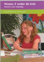 Niveau 3 onder de knie Kennis in een notendop 9789001137793, Livres, Livres scolaires, Verzenden, A. Ormel