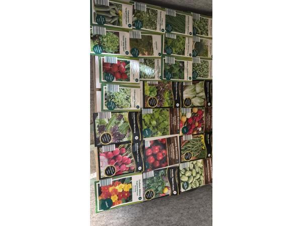 Veiling - Kruiden en sla zaden mix salade uit eigen tuin, Tuin en Terras, Planten | Tuinplanten