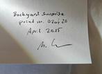 Markus Lehr - Backyard Surprise, Antiek en Kunst, Kunst | Schilderijen | Modern