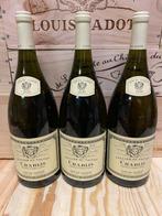 2020 Louis Jadot Chablis Cellier du Valvan - Chablis - 3, Verzamelen, Nieuw