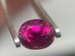 1 pcs Rood Robijn - 0.75 ct - Antwerp Laboratory for, Nieuw