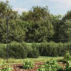 vidaXL Draadgaashek met grondankers 1,6x10 m, Verzenden, Nieuw