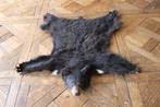Zwarte beer Taxidermie volledige montage - Ursus americanus
