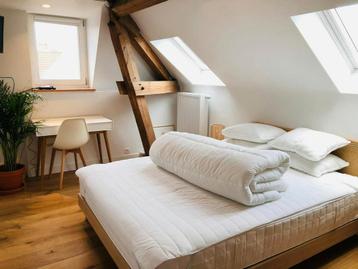 Appartement en Rue Herman Richir, Schaerbeek, 35 à 50 m², Bruxelles