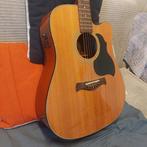 Richwood - D-40-CE - - Guitare électro-acoustique, Musique & Instruments