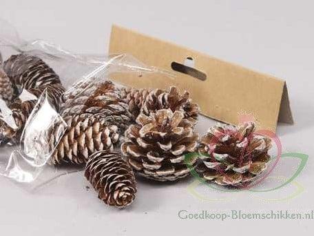 Dennenappel Ray Cones White Wash 100 gram kleinverpakking, Hobby en Vrije tijd, Knutselen, Nieuw