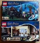 Lego - Harry Potter - 76386 + 76400 - Hogwarts Polyjuice