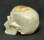 Buitengewoon menselijk schedel, met de hand gesneden uit