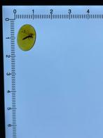 Amber - Barnsteen - Big Staphylinidae, Burmese Amber, Insect
